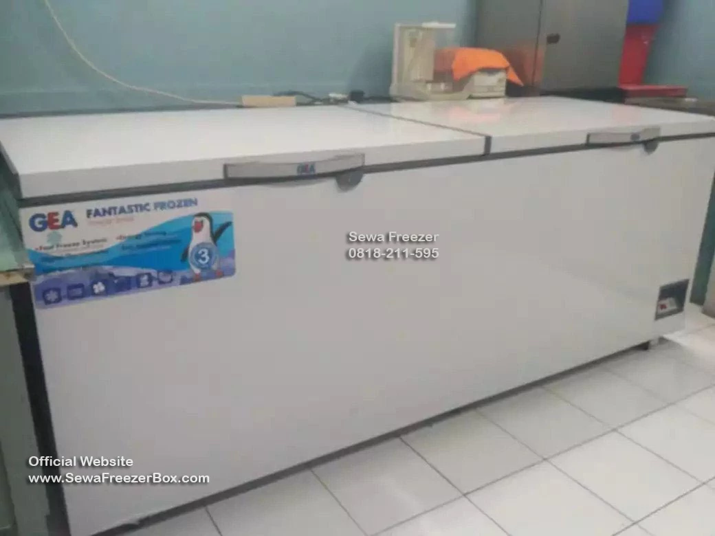 sewa freezer box 600 liter Karawang