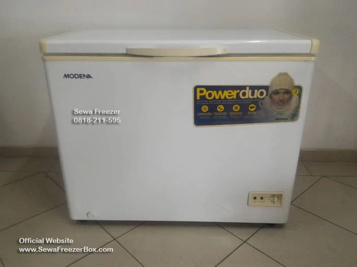 sewa freezer box 200 liter Binakal Bondowoso
